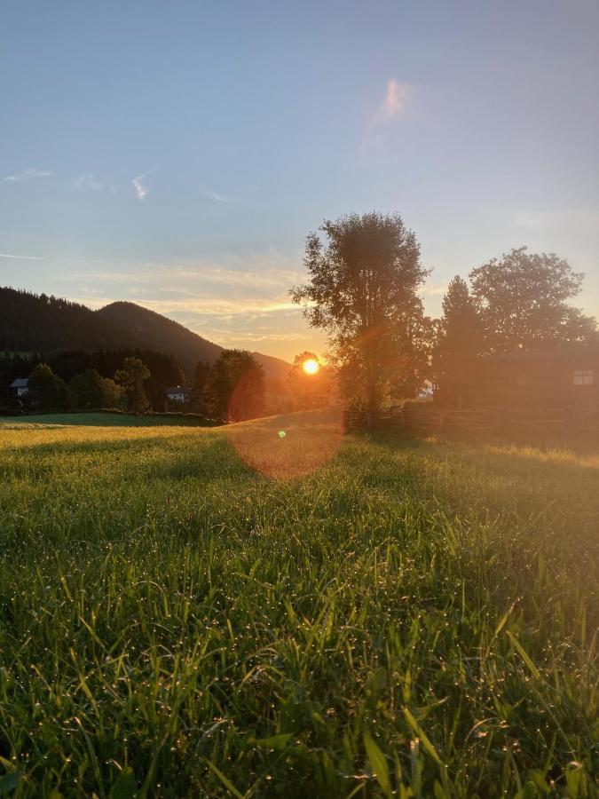 Haslehnerhof Villa Ramsau am Dachstein Dış mekan fotoğraf