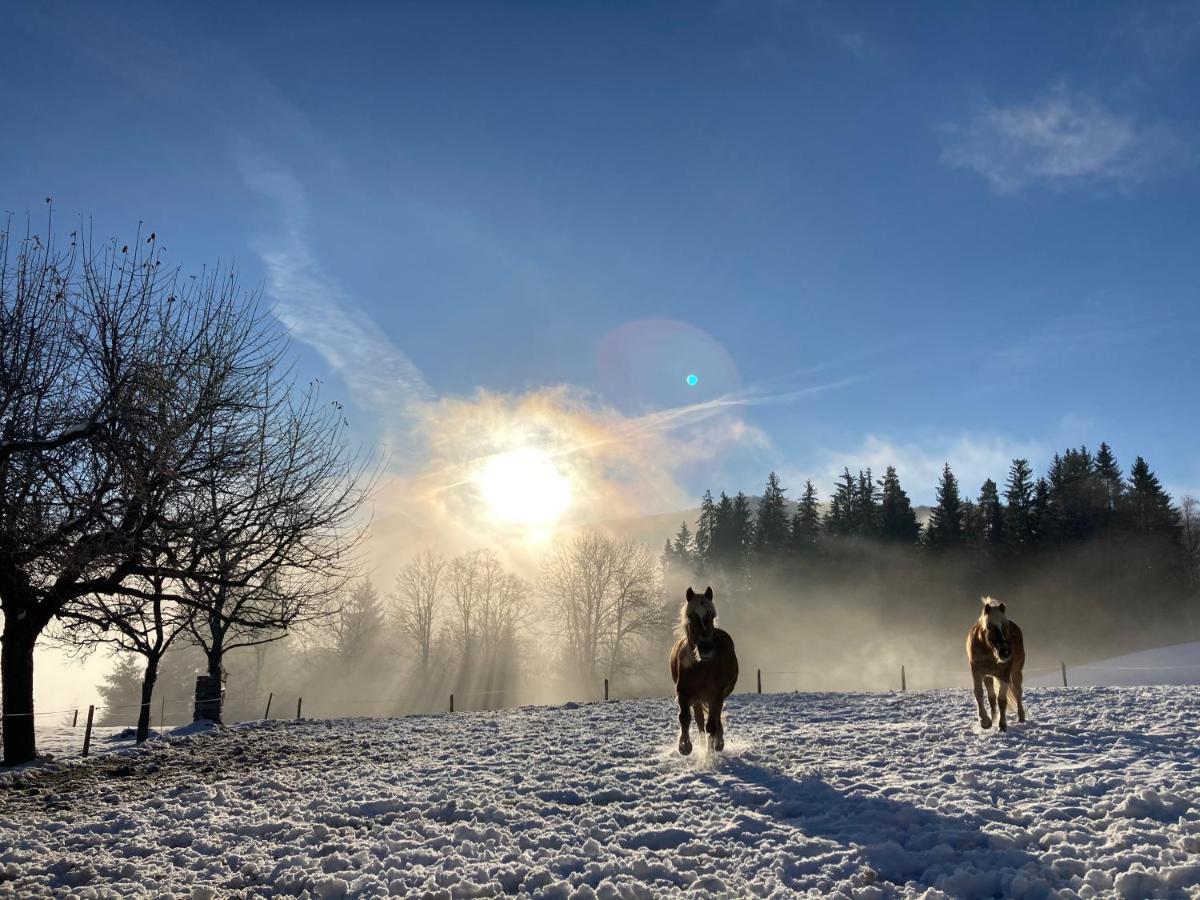 Haslehnerhof Villa Ramsau am Dachstein Dış mekan fotoğraf