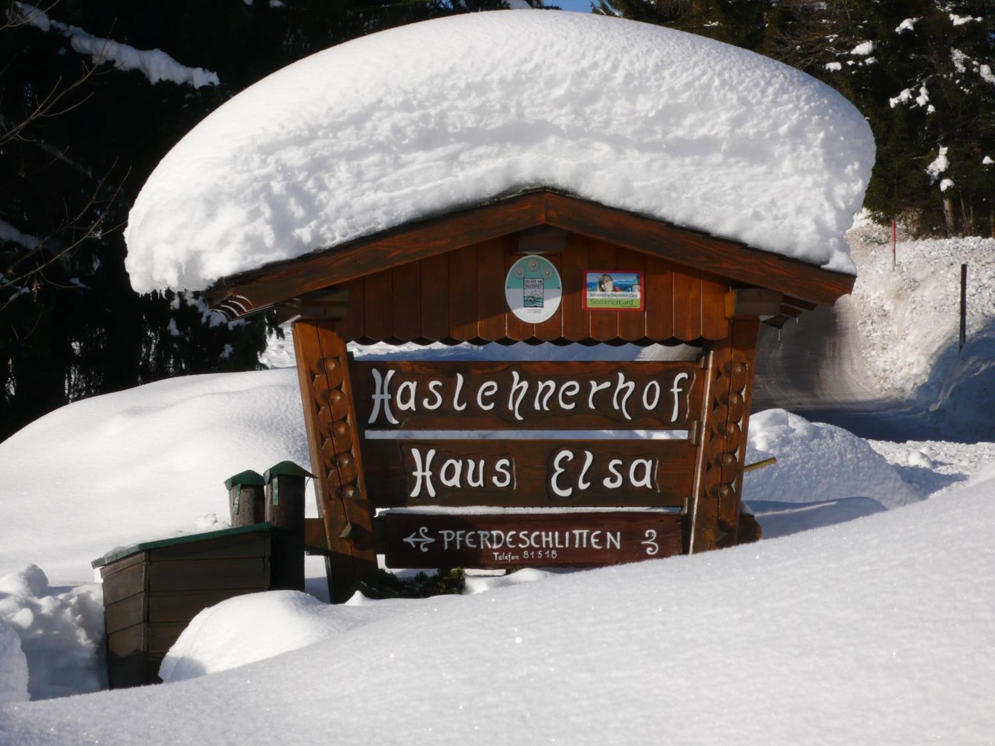 Haslehnerhof Villa Ramsau am Dachstein Dış mekan fotoğraf