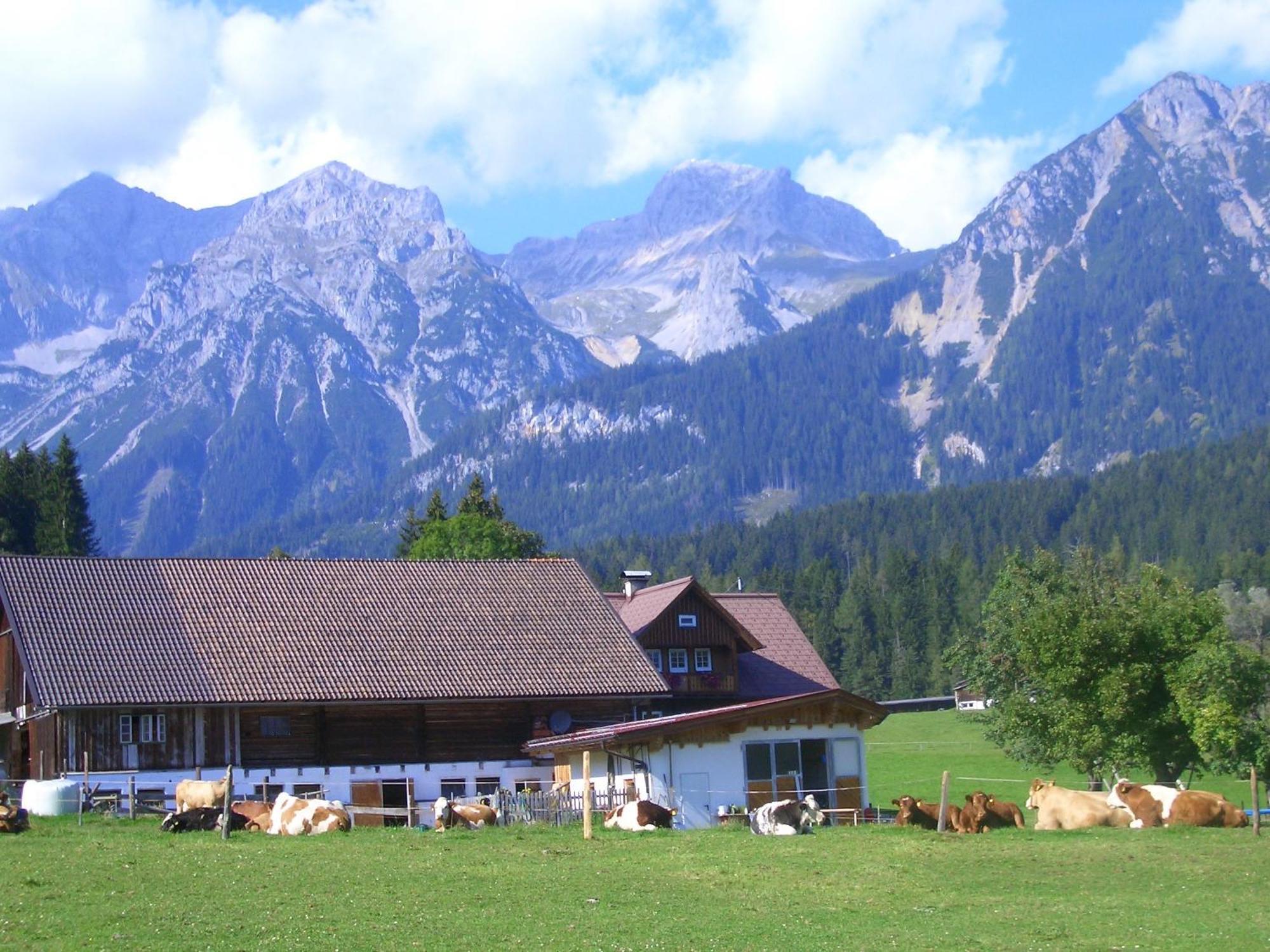 Haslehnerhof Villa Ramsau am Dachstein Dış mekan fotoğraf