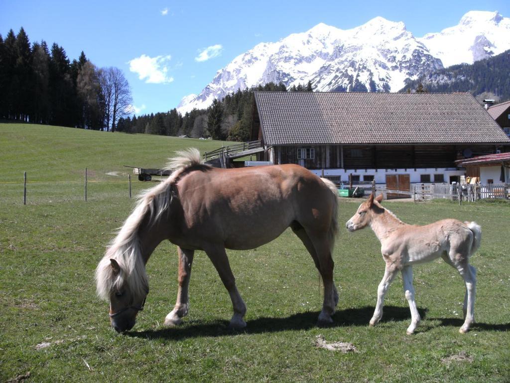 Haslehnerhof Villa Ramsau am Dachstein Dış mekan fotoğraf